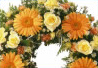 Fatal accident lawyer