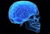 Head injury / brain injury lawyer